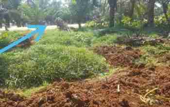 A plot of land for sale at road of Muzinda Bubanza