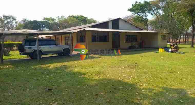 1199 Ha FARM FOR SALE IN MPONGWE ZAMBIA