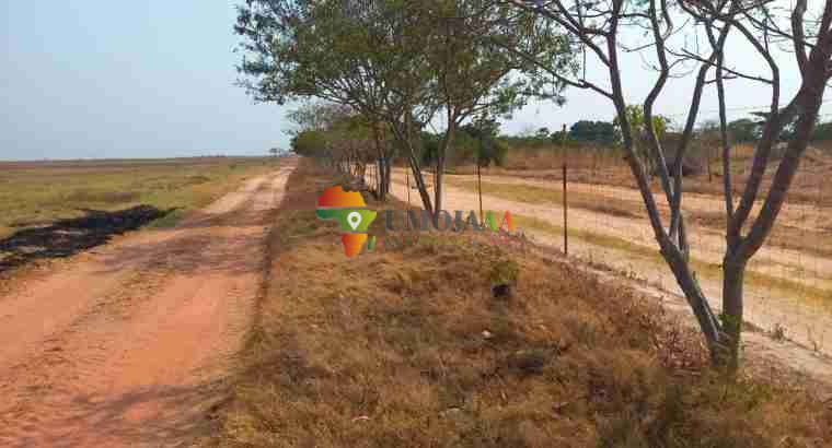1199 Ha FARM FOR SALE IN MPONGWE ZAMBIA
