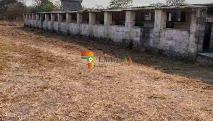 4,000 capacity piggery for lease/rent/each 5 years – Lusaka