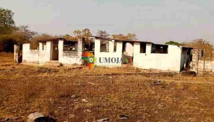 4,000 capacity piggery for lease/rent/each 5 years – Lusaka