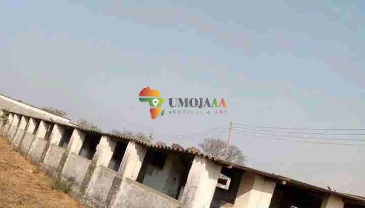 4,000 capacity piggery for lease/rent/each 5 years – Lusaka