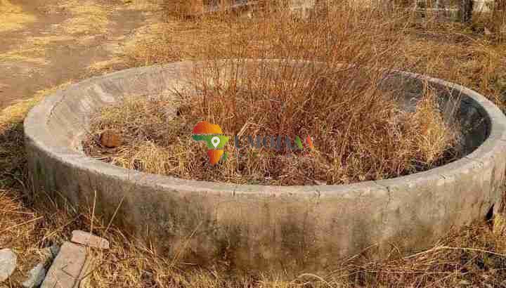 4,000 capacity piggery for lease/rent/each 5 years – Lusaka