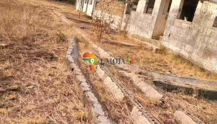 4,000 capacity piggery for lease/rent/each 5 years – Lusaka