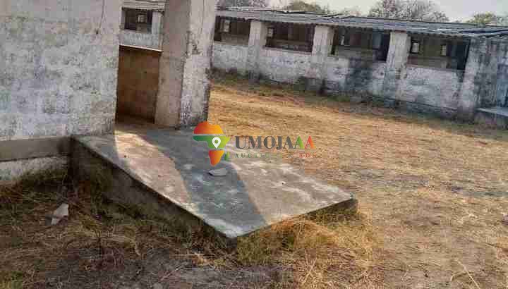 4,000 capacity piggery for lease/rent/each 5 years – Lusaka