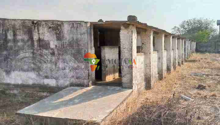 4,000 capacity piggery for lease/rent/each 5 years – Lusaka