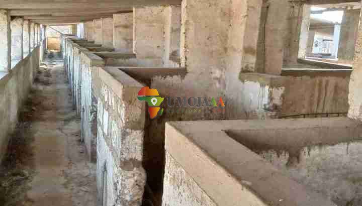 4,000 capacity piggery for lease/rent/each 5 years – Lusaka