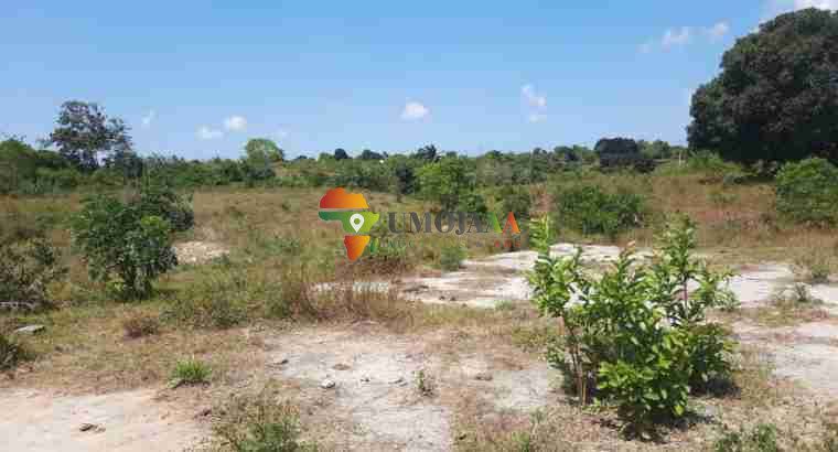 A large plot for sale in Kigobedi, Mkuranga Dar es salaam
