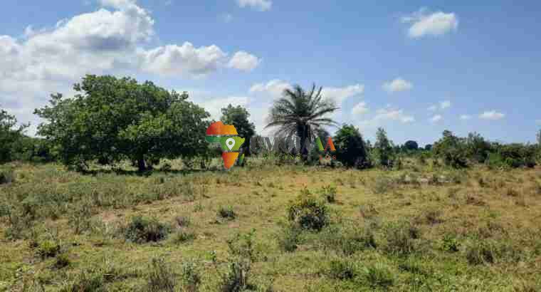 A large plot for sale in Kigobedi, Mkuranga Dar es salaam