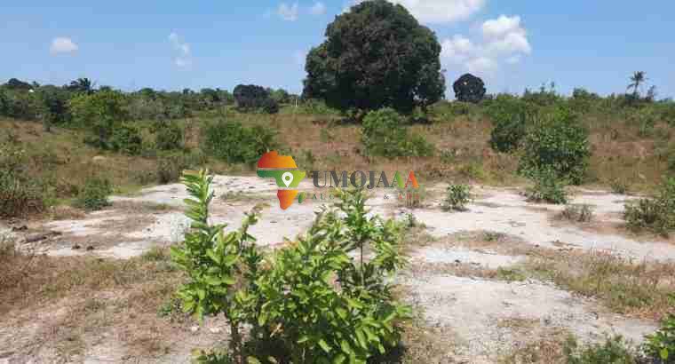 A large plot for sale in Kigobedi, Mkuranga Dar es salaam
