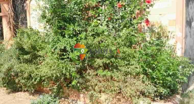 Compund: 2 Houses for sale located kibada kigamboni block 16