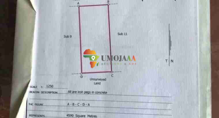 1-acre Plot for sale right inside Chaminuka wildlife