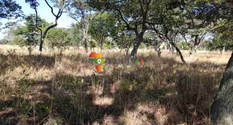 1-acre Plot for sale right inside Chaminuka wildlife