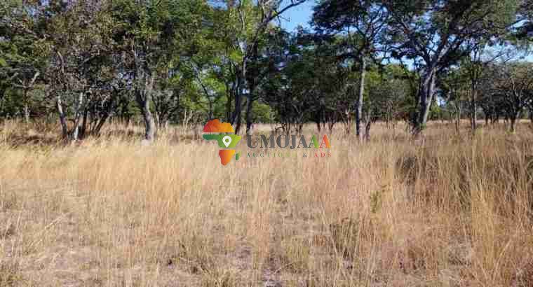 1-acre Plot for sale right inside Chaminuka wildlife