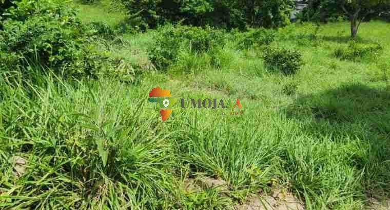 A big plot for sale in Goba kinzudi