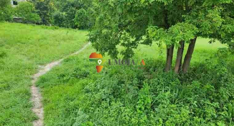 A big plot for sale in Goba kinzudi