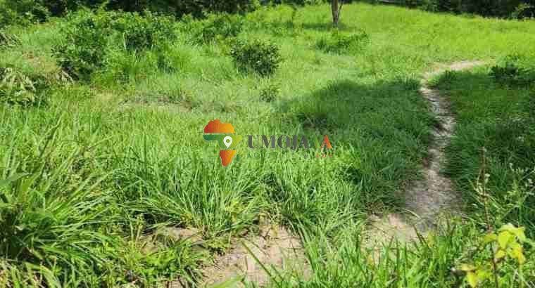 A big plot for sale in Goba kinzudi