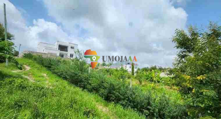 A big plot for sale in Goba kinzudi