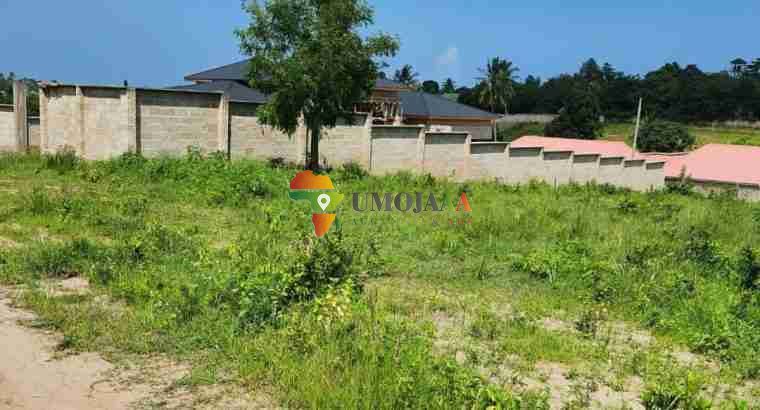 LARGE PLOT IN GOBA CENTRE IS ON MARKET