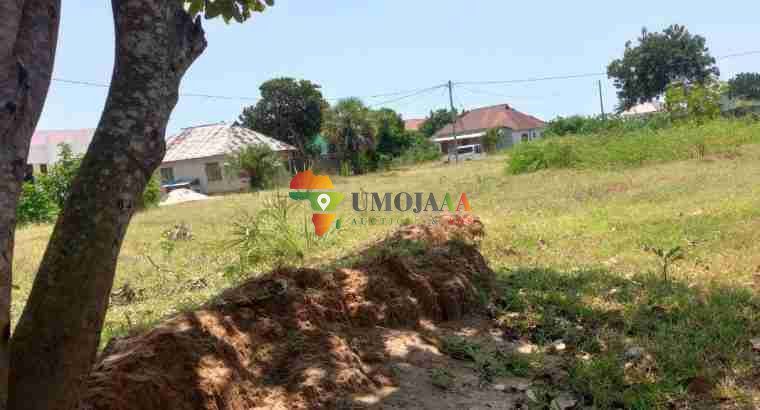PLOT FOR SALE FOR SALE MBUTU KICHANGANI, KIGAMBONI, DAR