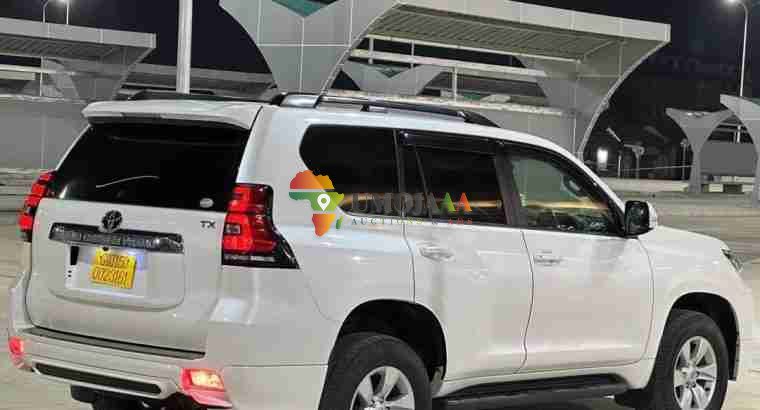 LANDCRUISER PRADO TXL FOR SALE IN DAR ES SALAAM