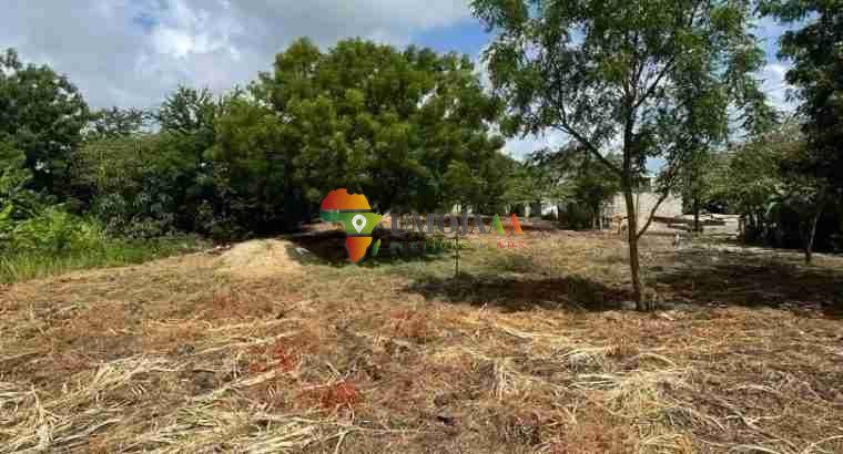 BIG PLOT FOR SALE AT BUNJU BEACH MOGA