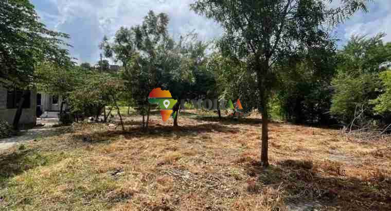 BIG PLOT FOR SALE AT BUNJU BEACH MOGA