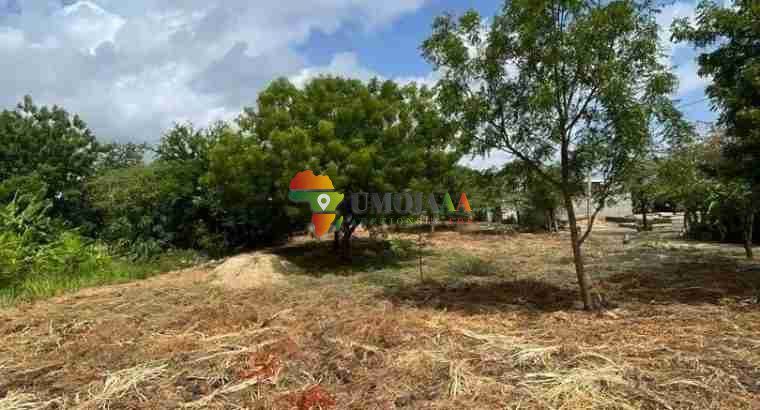 BIG PLOT FOR SALE AT BUNJU BEACH MOGA