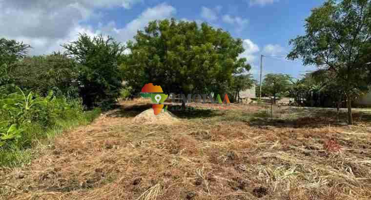 BIG PLOT FOR SALE AT BUNJU BEACH MOGA