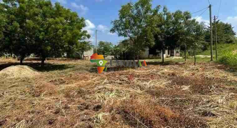 BIG PLOT FOR SALE AT BUNJU BEACH MOGA
