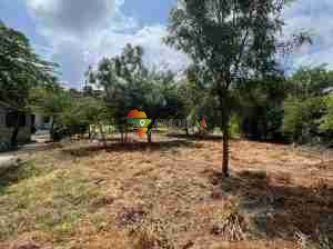 BIG PLOT FOR SALE AT BUNJU BEACH MOGA
