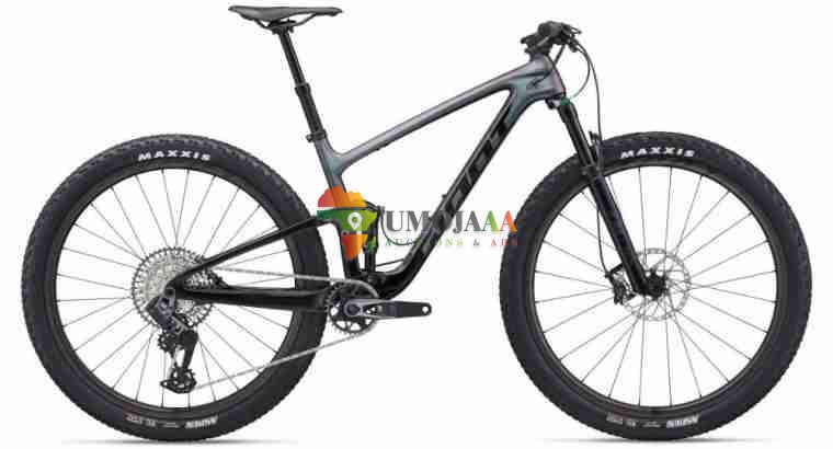 2024 Giant Anthem Advanced 29 1 Mountain Bike