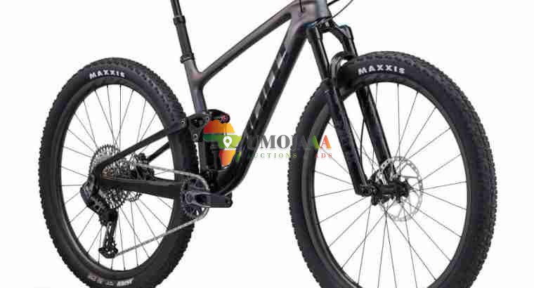 2024 Giant Anthem Advanced 29 1 Mountain Bike