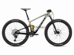 2024 Giant Anthem Advanced 29 2 Mountain Bike