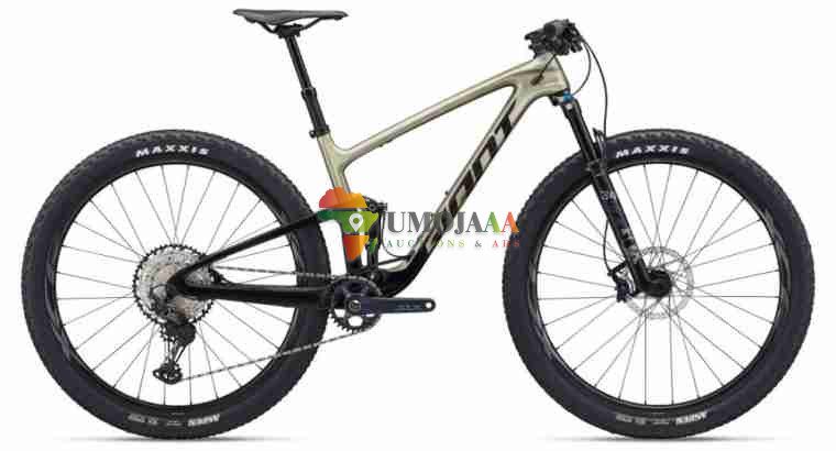 2024 Giant Anthem Advanced 29 2 Mountain Bike