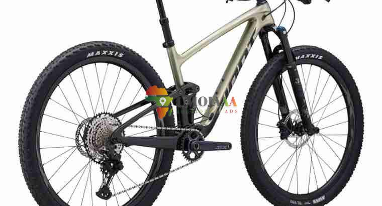 2024 Giant Anthem Advanced 29 2 Mountain Bike