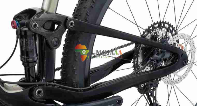 2024 Giant Anthem Advanced 29 2 Mountain Bike