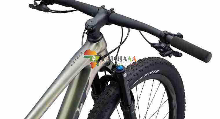 2024 Giant Anthem Advanced 29 2 Mountain Bike