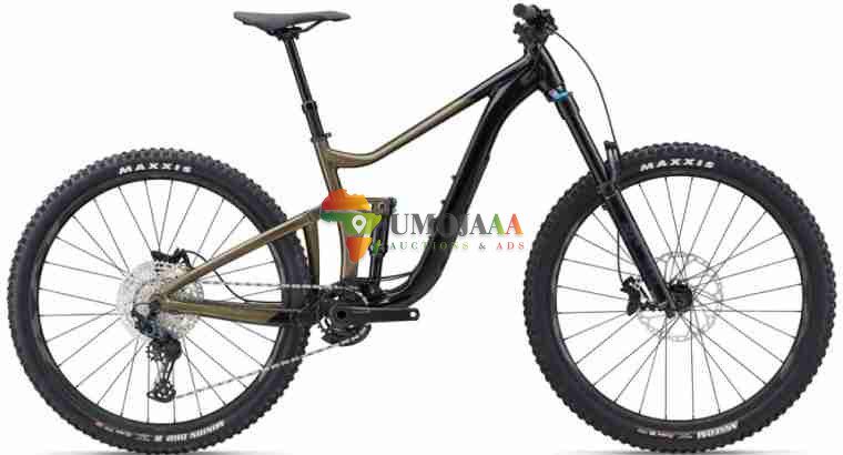 2024 Giant Reign 2 Mountain Bike ( PIENARBIKESHOP )