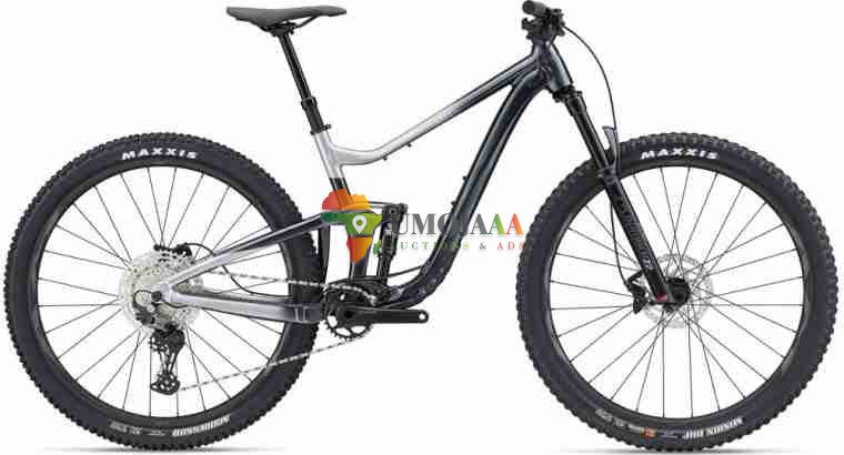 2024 Giant Trance 29 2 Mountain Bike ( PIENARBIKESHOP )