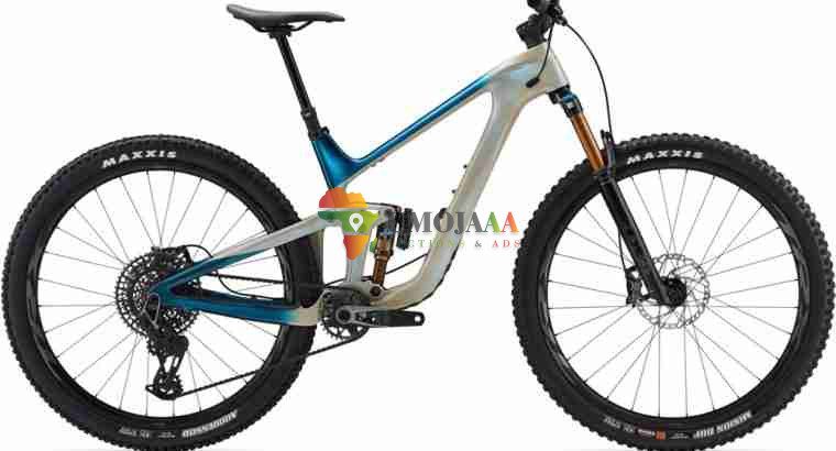 2024 Giant Trance Advanced 29 0 Mountain Bike