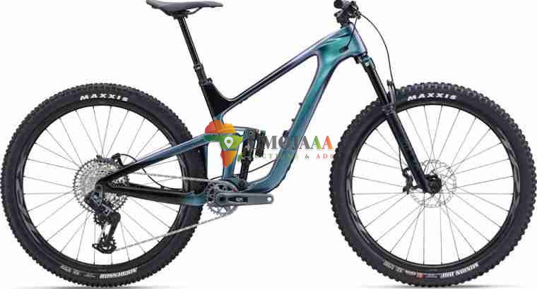 2024 Giant Trance Advanced 29 1 Mountain Bike