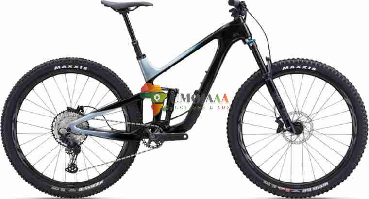 2024 Giant Trance Advanced 29 2 Mountain Bike