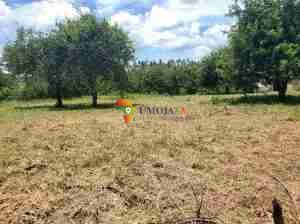 6 PLOTS FOR SALES LOCATED IN MADALE POLICE