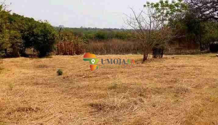 Developed 10-(25 Acre) Ha Small holding for rent in Lusaka