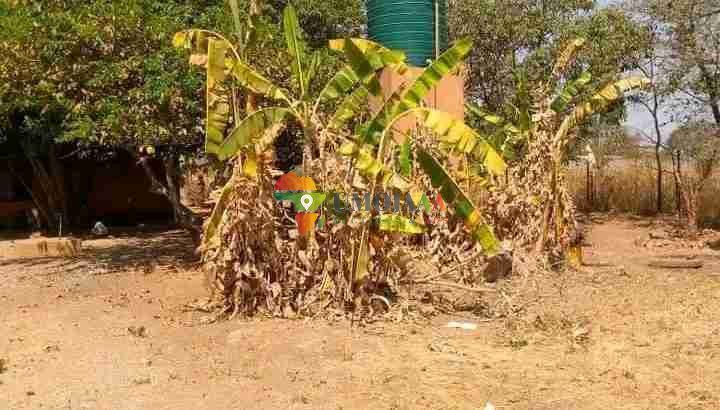 Developed 10-(25 Acre) Ha Small holding for rent in Lusaka