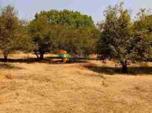 Developed 10-(25 Acre) Ha Small holding for rent in Lusaka