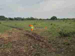 MASHAMBA YANAYOPATIKANA KWA UKODISHI WA MUDA MREFU KAPIRI MPOSHI