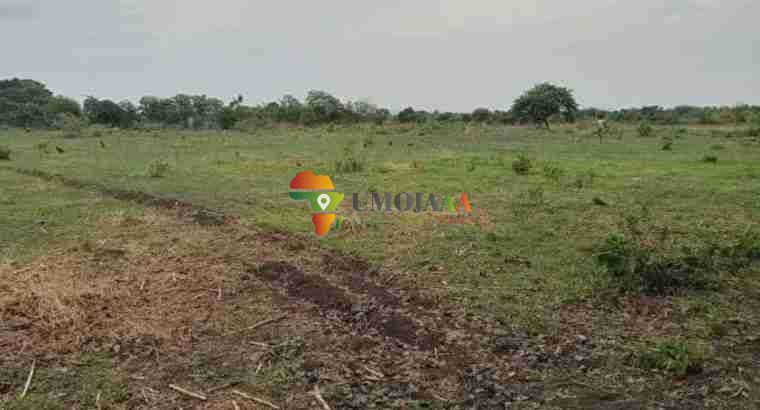 FARMLAND AVAILABLE ON LONG TERM LEASE IN KAPIRI MPOSHI