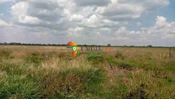 18,031 HECTARES FARM FOR SALE IN MAZABUKA, ZAMBIA